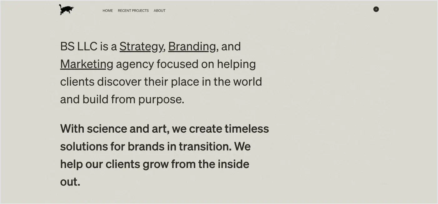 BS LLC healthcare branding agencies